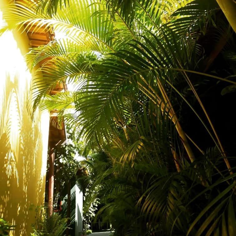 Pousada Corais Do Sul Caraíva Exteriér fotografie