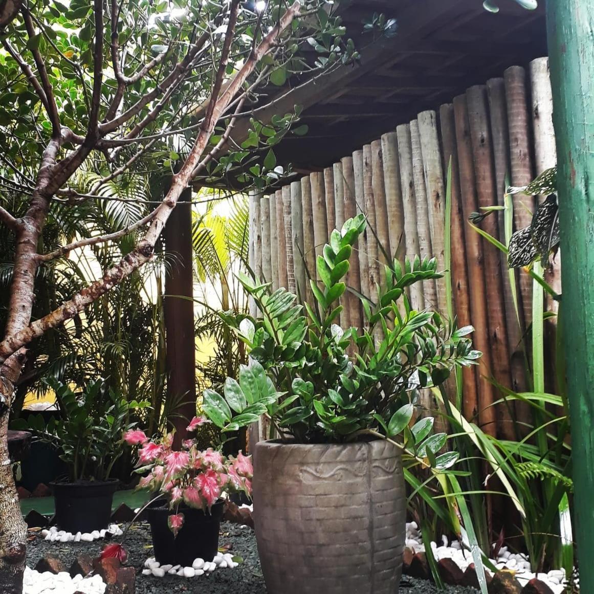 Pousada Corais Do Sul Caraíva Exteriér fotografie